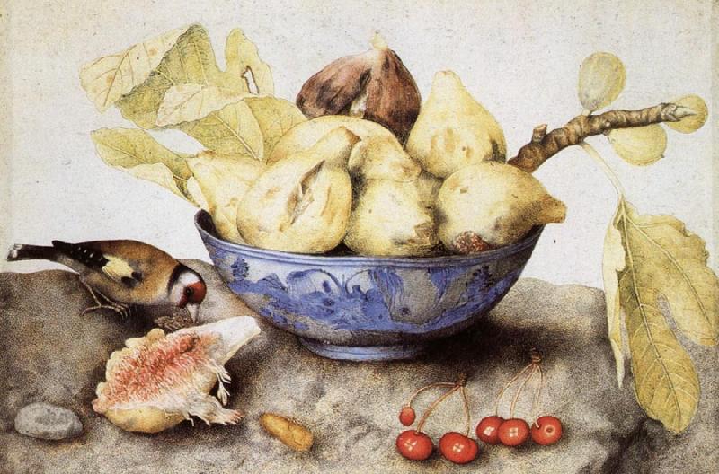 Giovanna Garzoni Chinese Cup with Figs,Cherries and Goldfinch Germany oil painting art